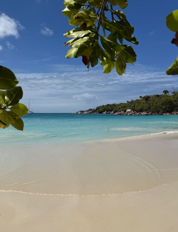 Tauchen Seychellen
