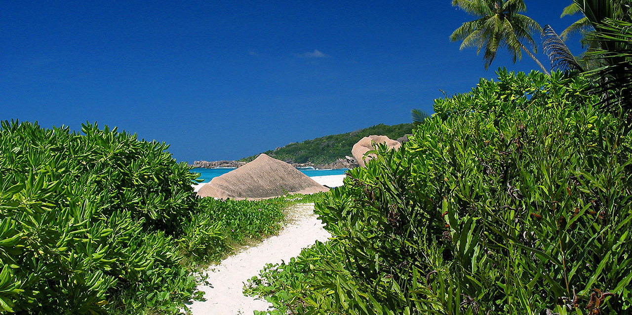 Anse Cocos Trail